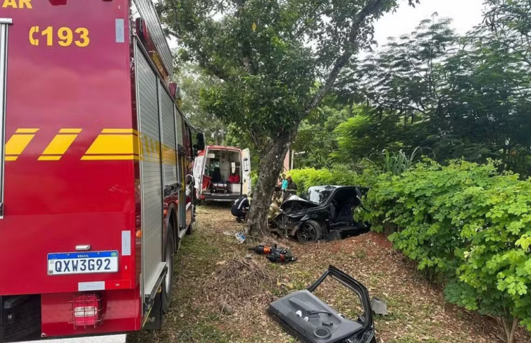MGC-265: motorista bate em árvore após perder controle e fica preso às ferragens