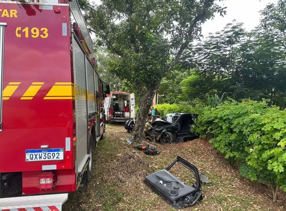 MGC-265: motorista bate em árvore após perder controle e fica preso às ferragens