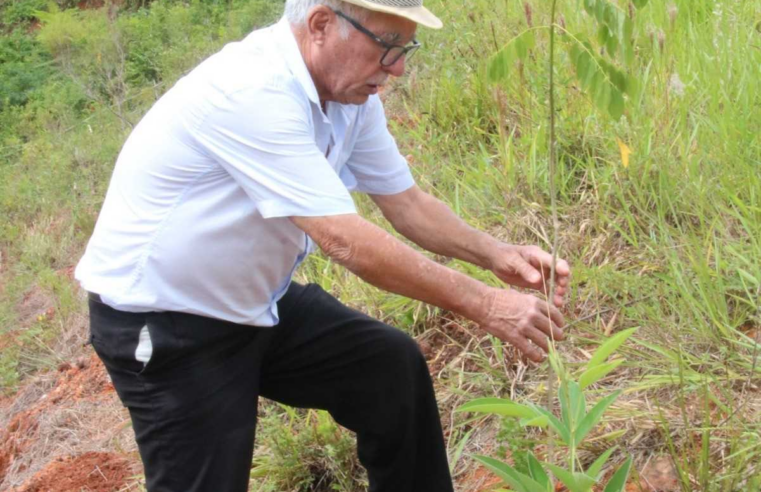 PMV divulga participação em plantio de mudas no Parque do Cristo