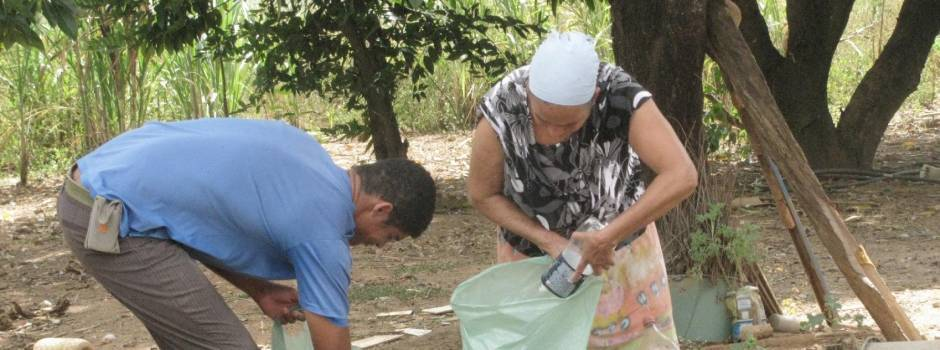 Prevenção do Estado contra a dengue deve ocorrer também em propriedades rurais
