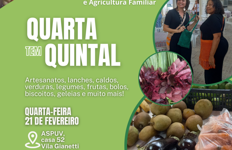 UFV divulga inscrições para novos feirantes do Quintal Solidário