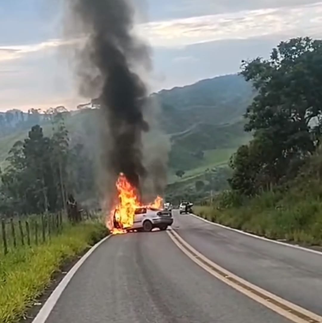 Porto Firme: Automóvel pega fogo após colidir em arvore