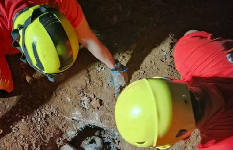 Corpo de Bombeiros resgata cadela e filhotes soterrados entre Viçosa e Ponte Nova