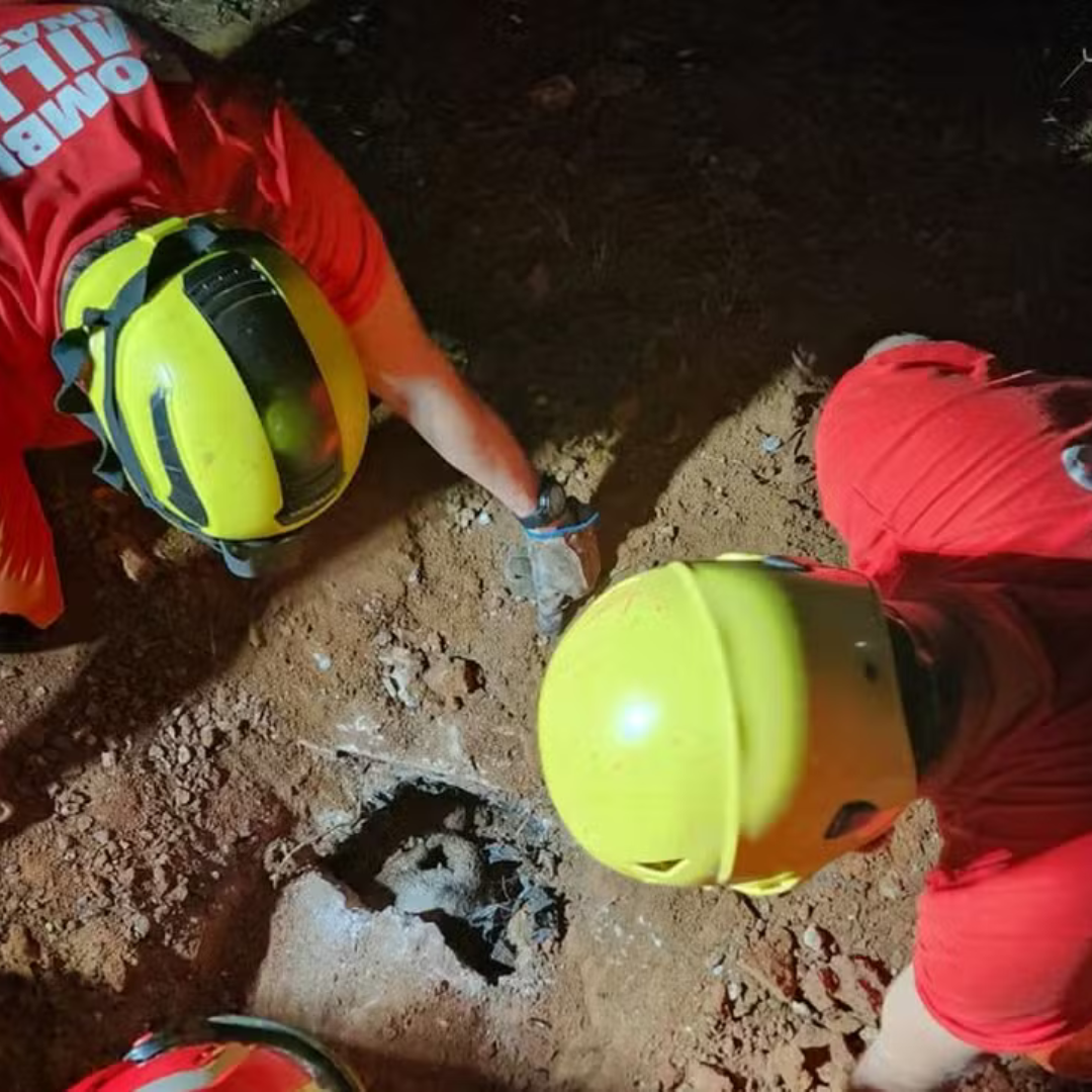 Corpo de Bombeiros resgata cadela e filhotes soterrados entre Viçosa e Ponte Nova