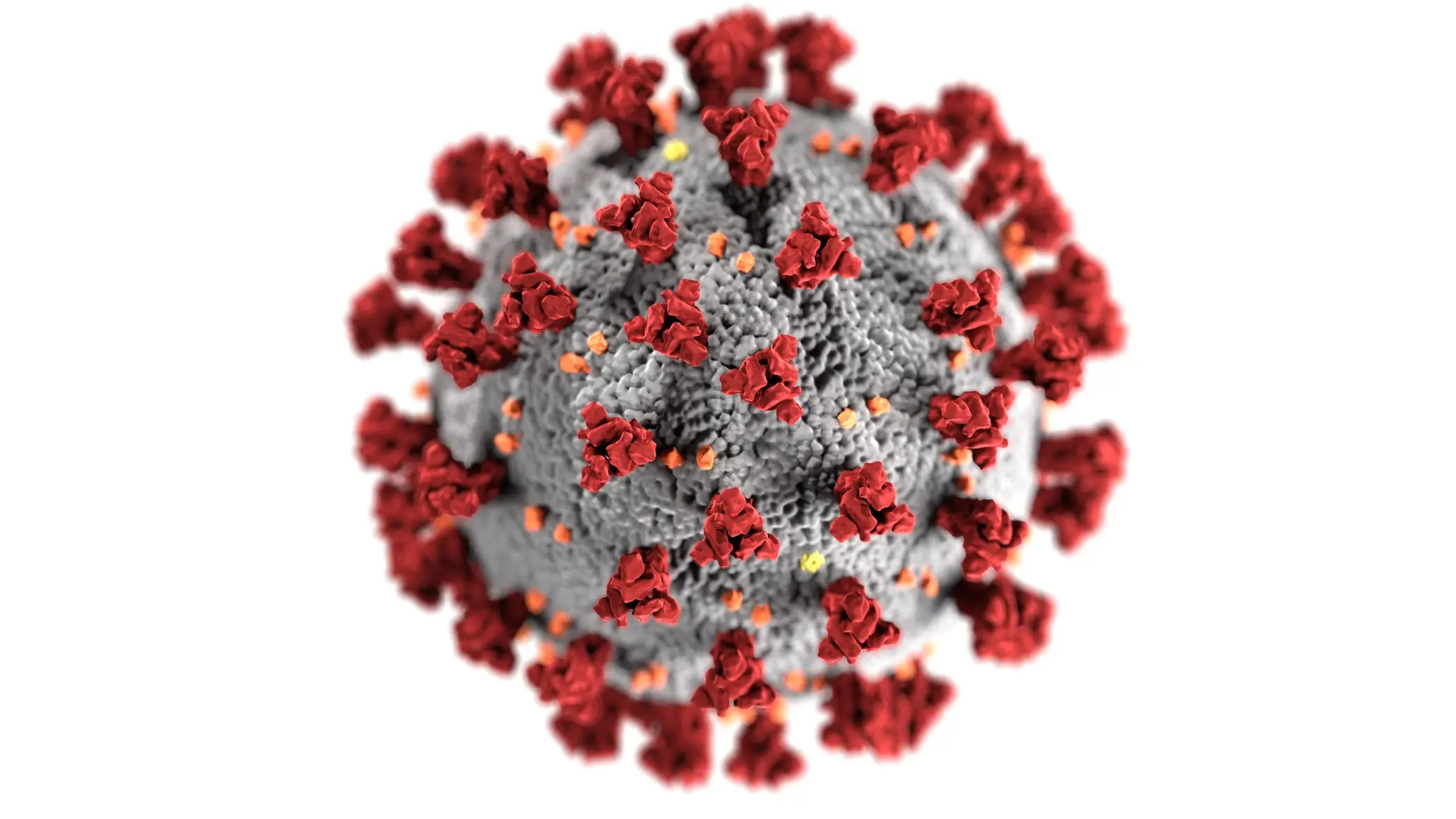 Viçosa segue sem casos de covid-19, diz boletim epidemiológico