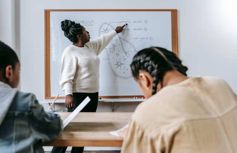 Em uma década, escolas estaduais do Brasil perderam 1/3 dos professores efetivos