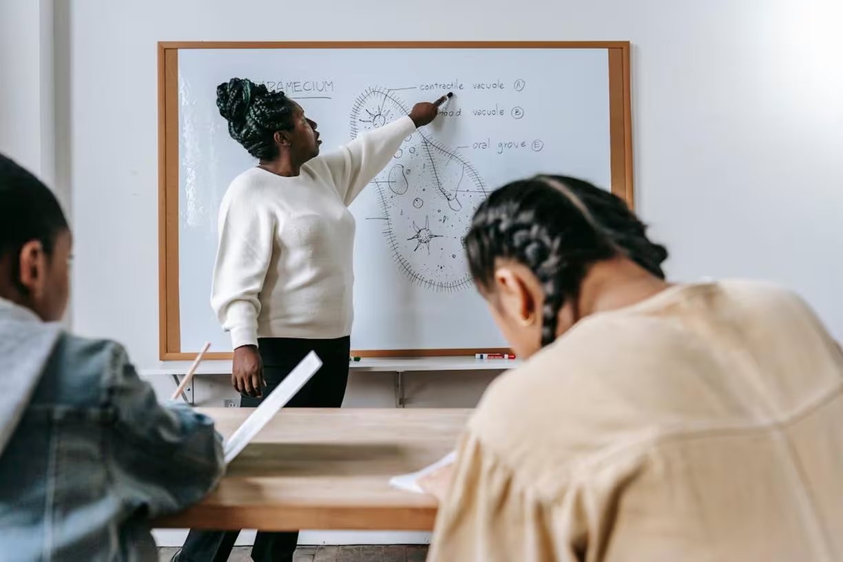Em uma década, escolas estaduais do Brasil perderam 1/3 dos professores efetivos