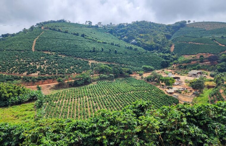 Exportações do agro mineiro batem novo recorde no período de janeiro a abril