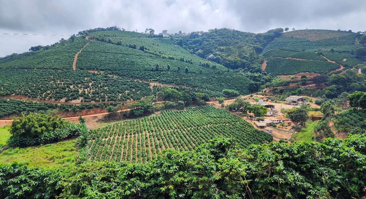 Exportações do agro mineiro batem novo recorde no período de janeiro a abril