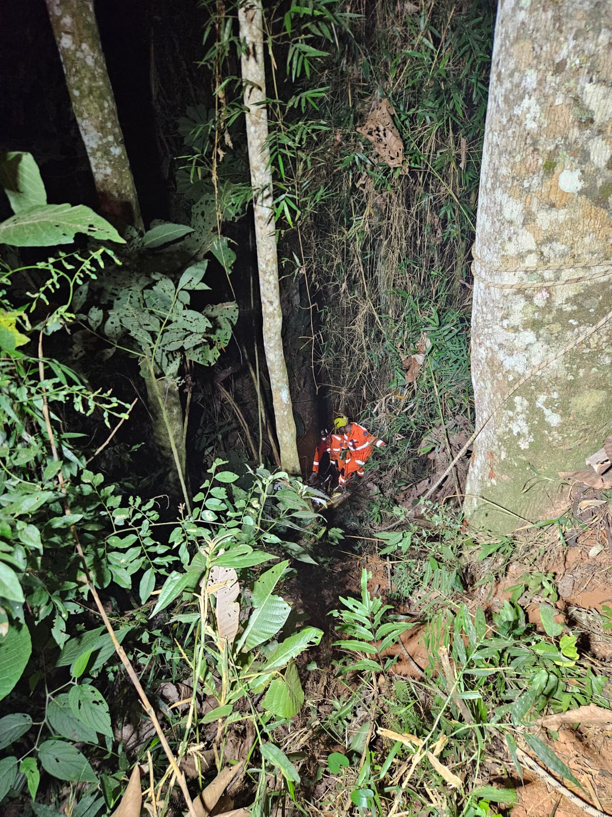Cadáver de vítima de acidente automobilístico é encontrado em ribanceira em Ervália