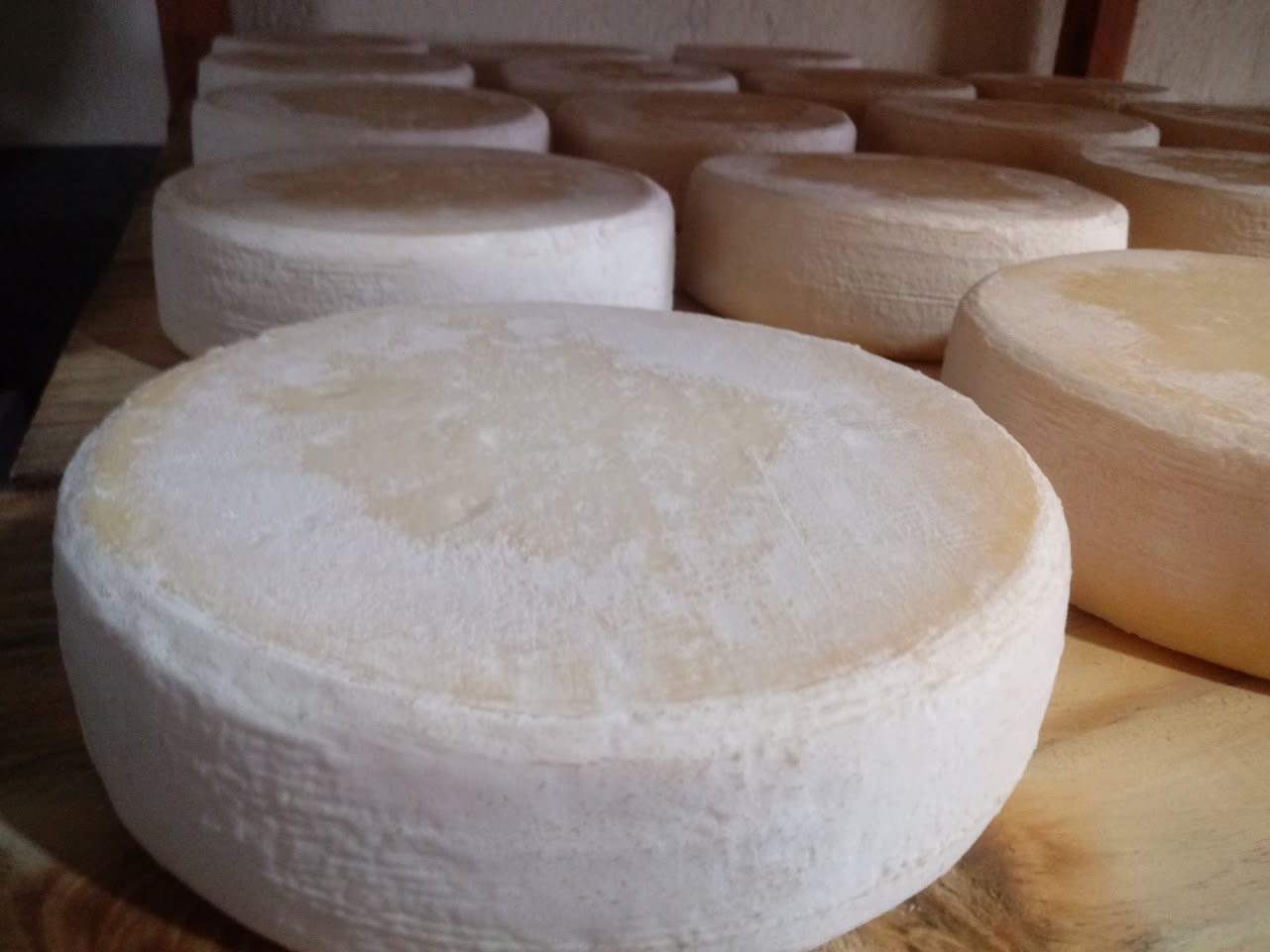 Dia do queijo artesanal é celebrado hoje, 16 de maio