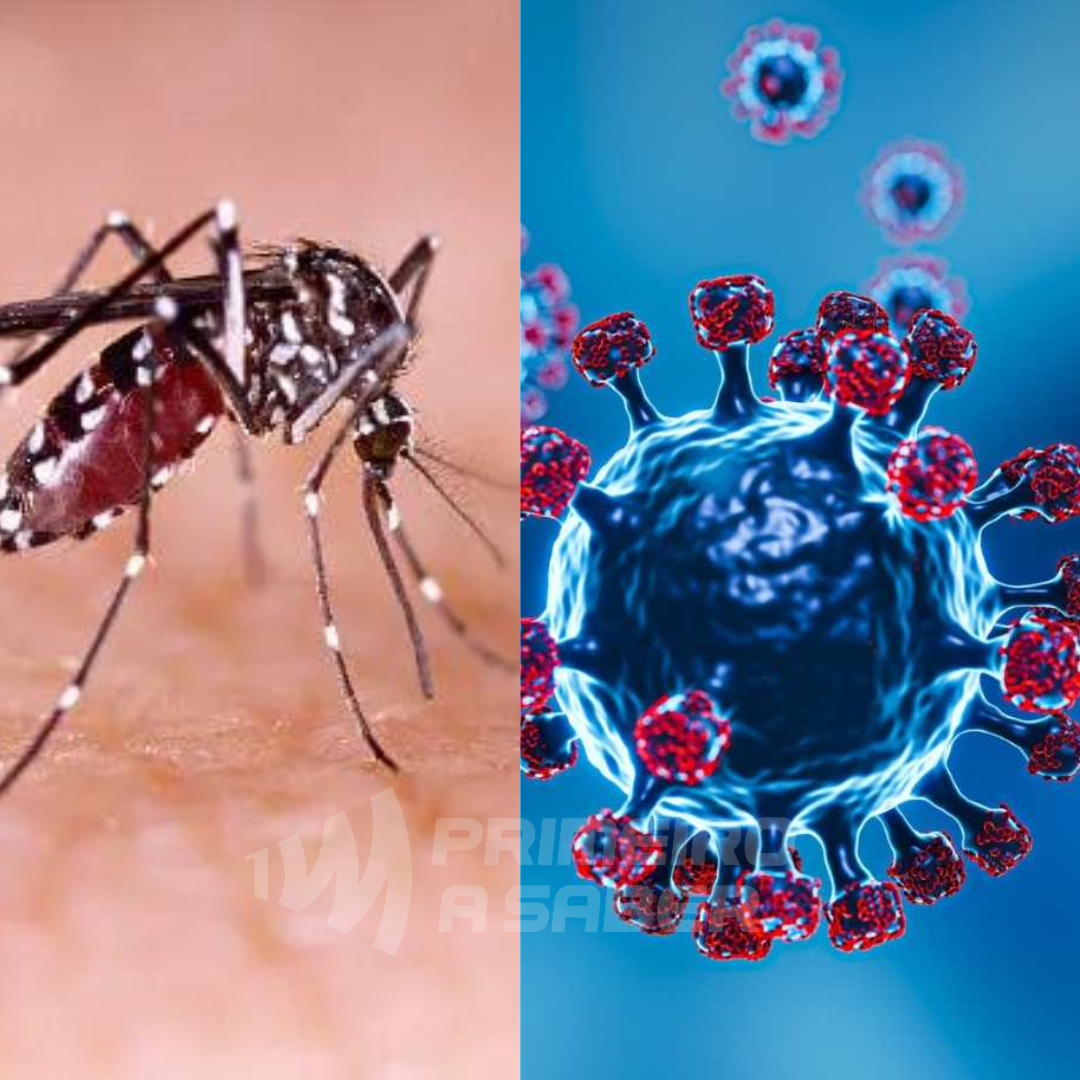 Dengue recua para risco médio e Covid-19 segue sem casos, segundo boletim da Prefeitura de Viçosa