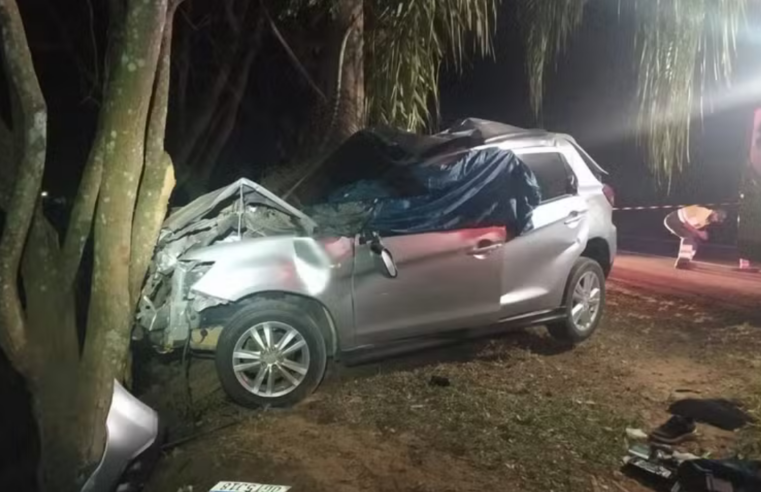 Homem morre após bater carro em árvore na BR-116