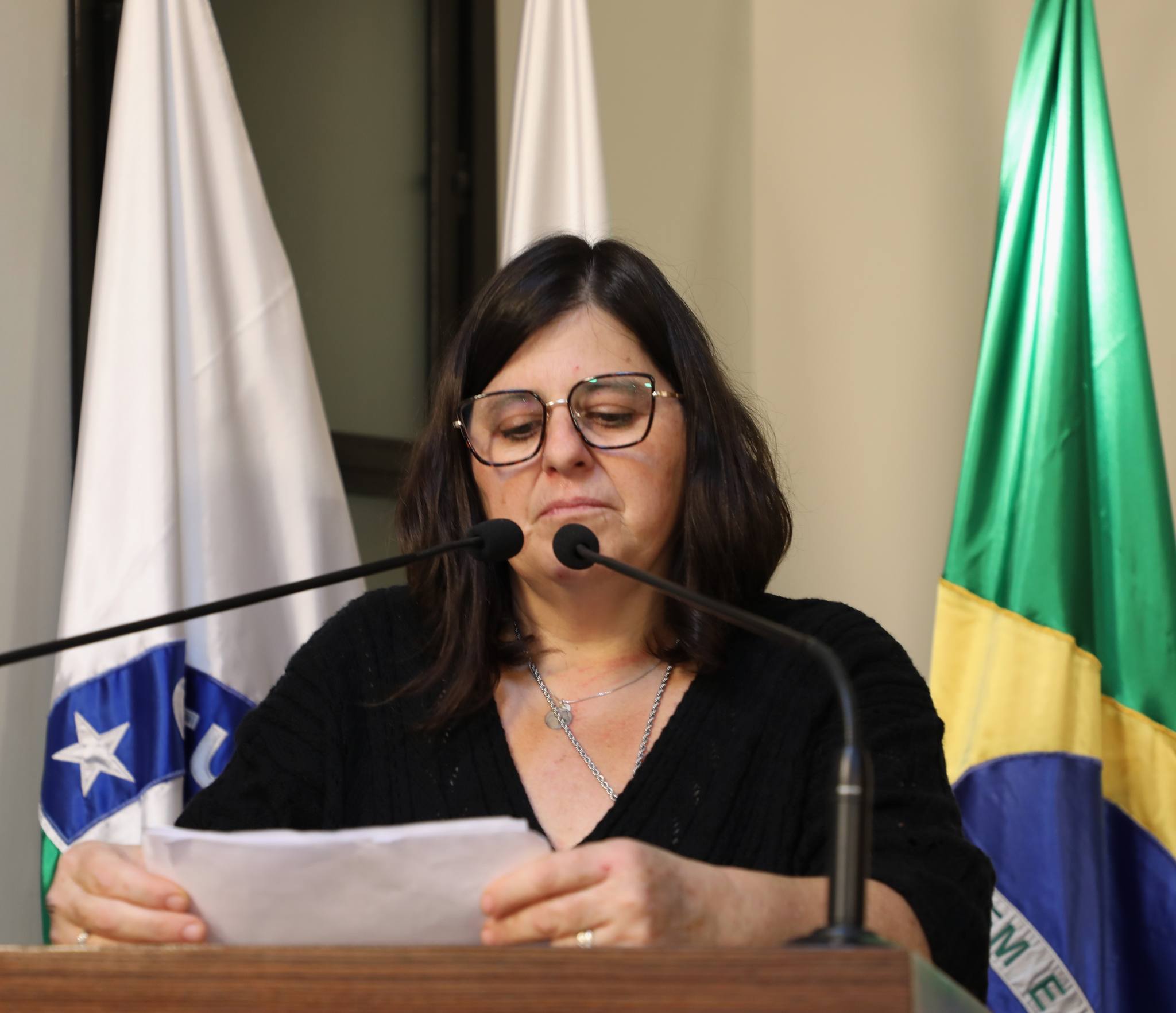 Plano de Cargos e Salários dos servidores da Saúde é discutido da Câmara