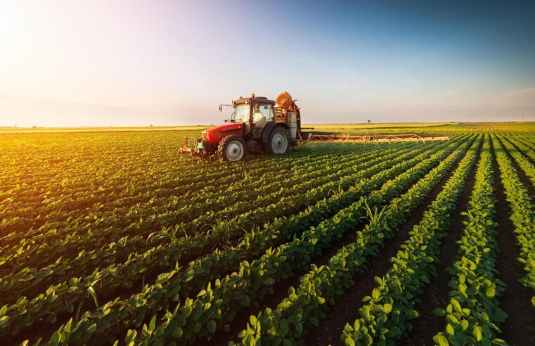 Inscrições abertas para curso técnico gratuito em Agronegócio, em Viçosa