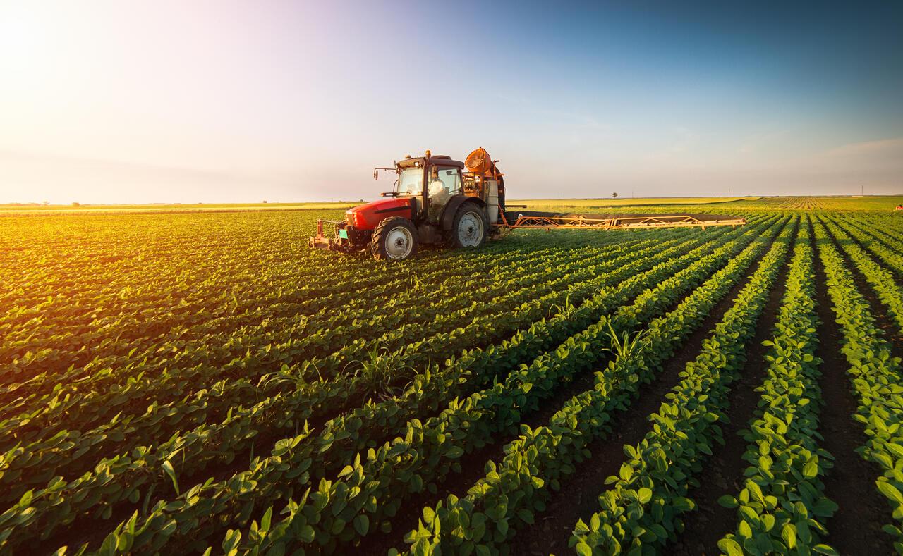 Inscrições abertas para curso técnico gratuito em Agronegócio, em Viçosa