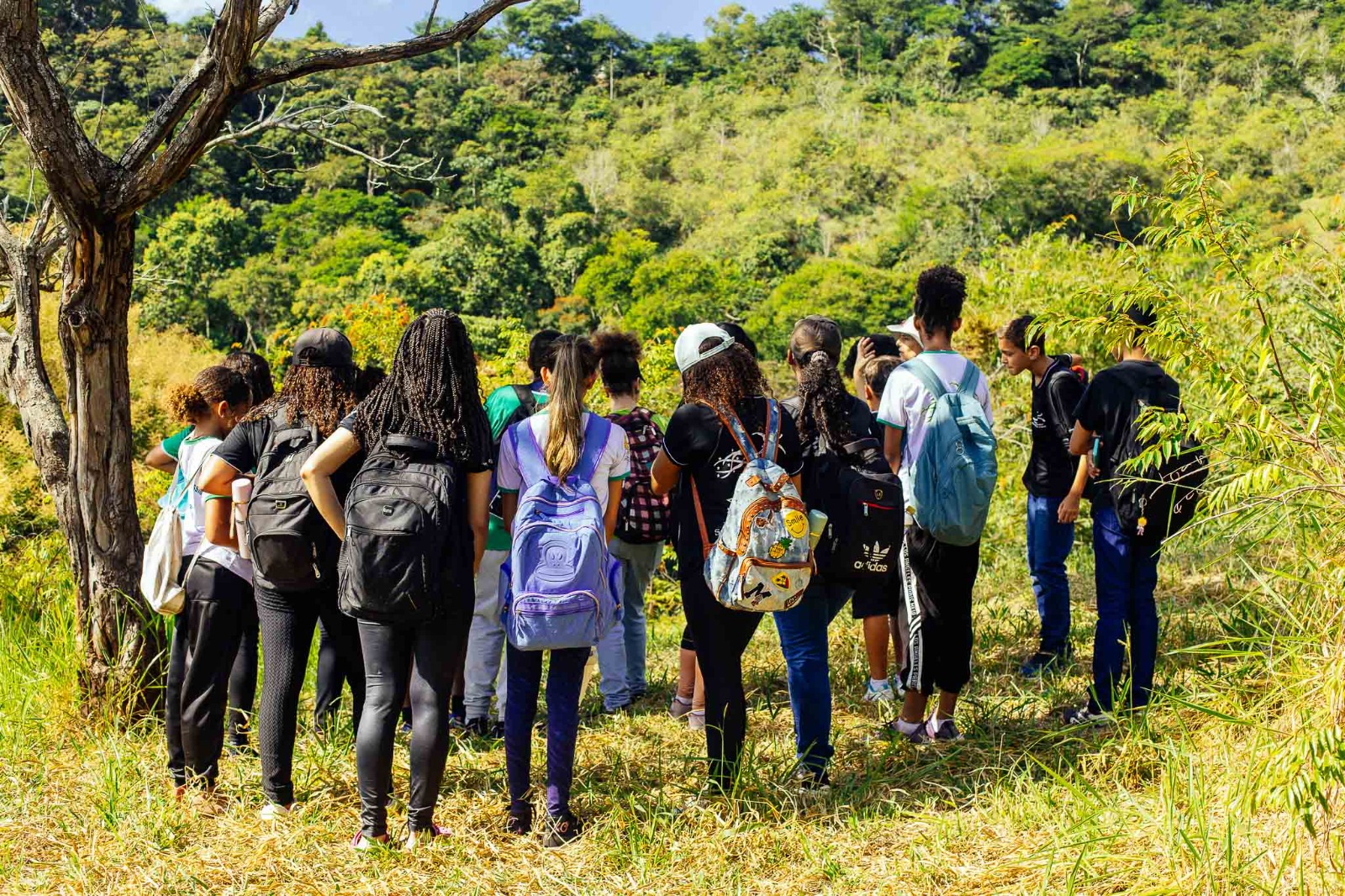 Dia Mundial do Meio Ambiente: Parque do Cristo revela mascote e ação com escola Dr. Januário