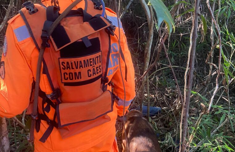 Homem desaparecido é encontrado graças à cães farejadores, em Rio Casca