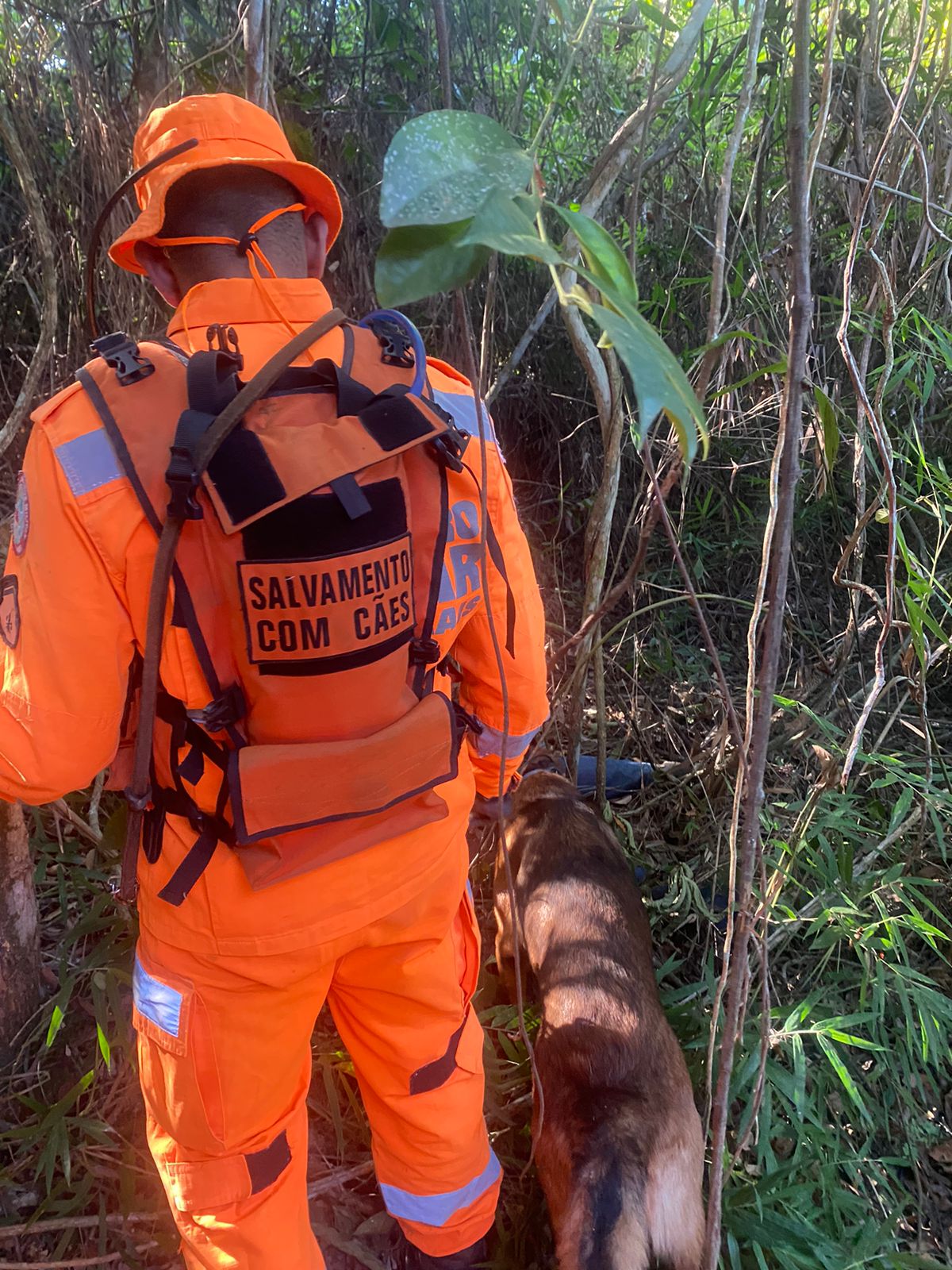 Homem desaparecido é encontrado graças à cães farejadores, em Rio Casca