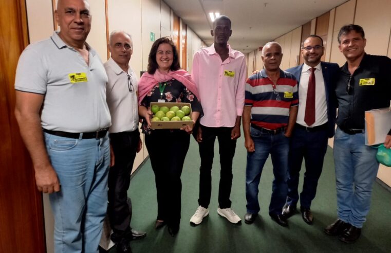 Fruticultores de Paula Cândido querem construir unidade de beneficiamento