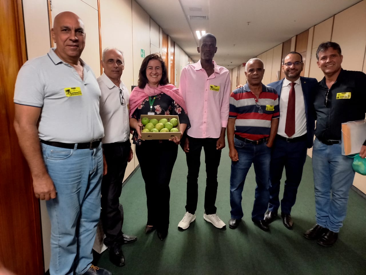 Fruticultores de Paula Cândido querem construir unidade de beneficiamento