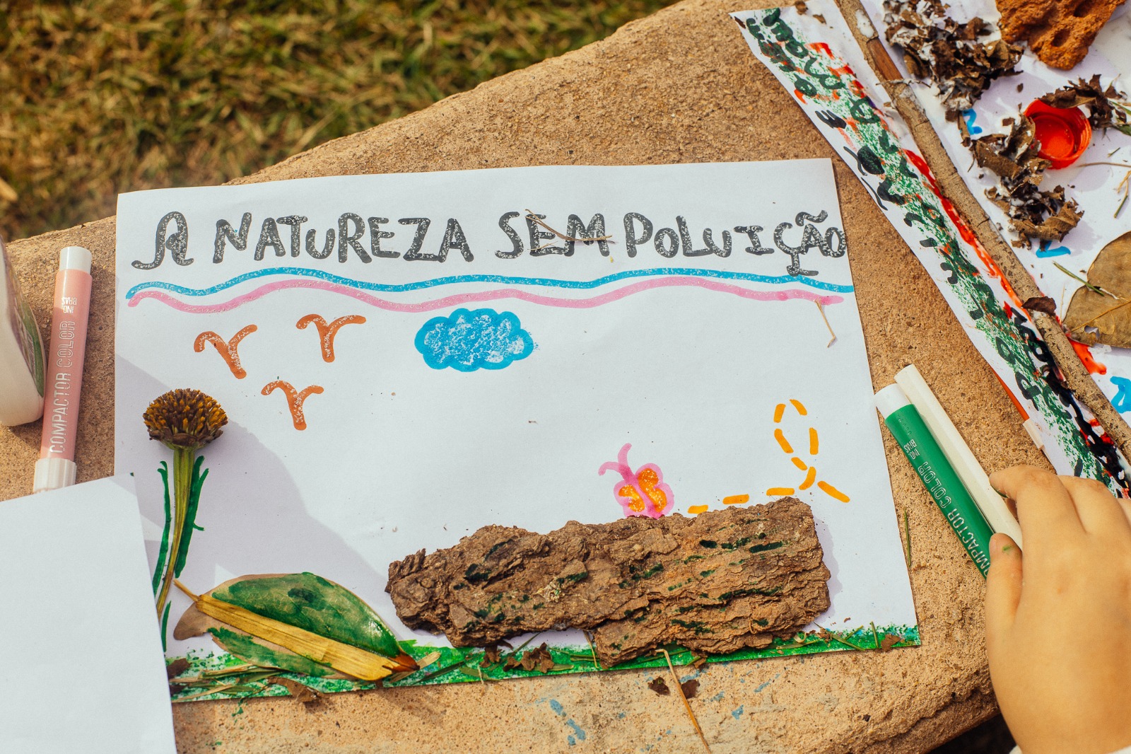 Evento no Parque do Cristo comemora o dia do meio ambiente