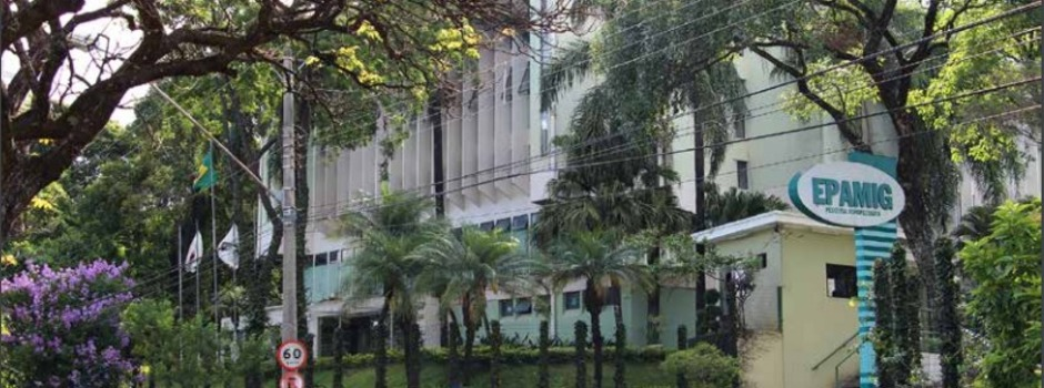 PL prevê recursos exclusivos para a pesquisa agropecuária