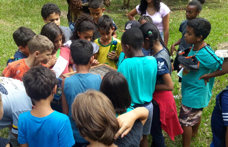 Projeto leva conhecimento sobre abelhas para alunos de escolas públicas