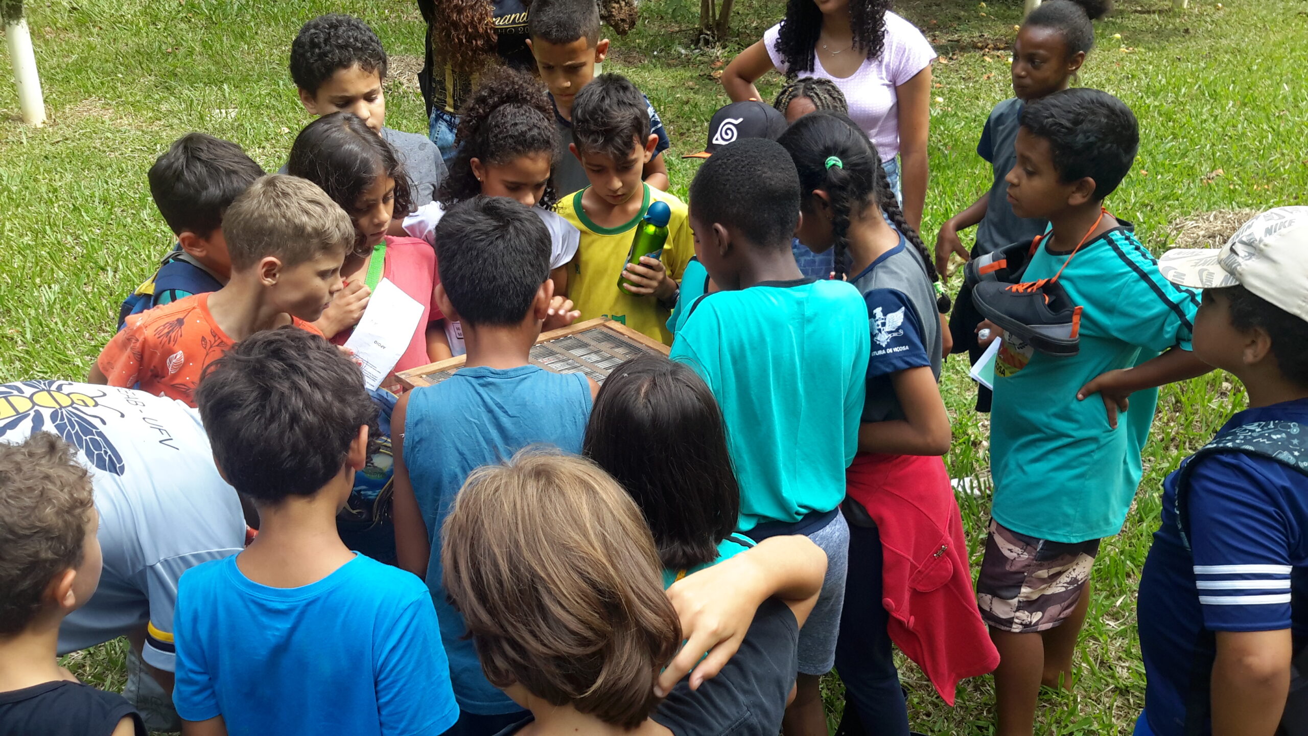Projeto leva conhecimento sobre abelhas para alunos de escolas públicas