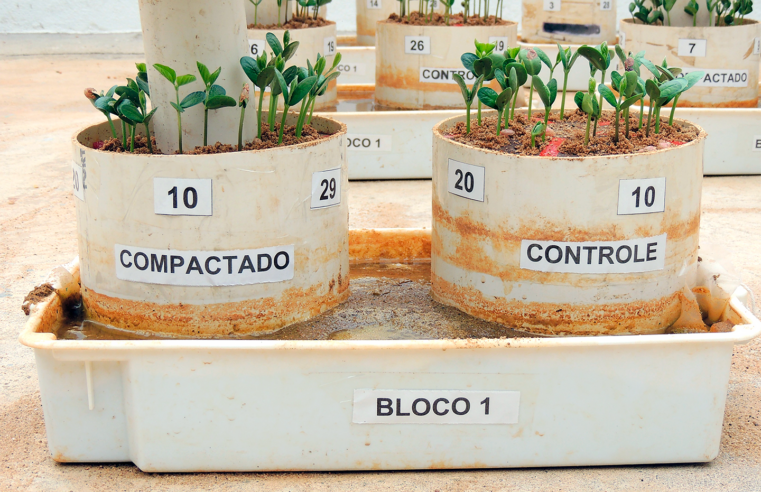 Patente de tecnologia desenvolvida no Departamento de Agronomia é concedida à UFV