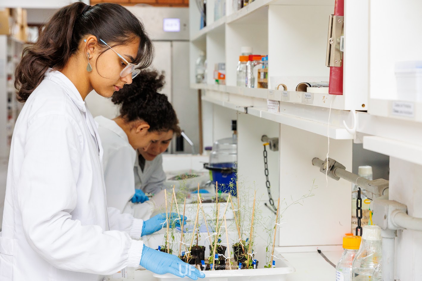 UFV sedia em outubro Congresso Brasileiro de Fisiologia Vegetal