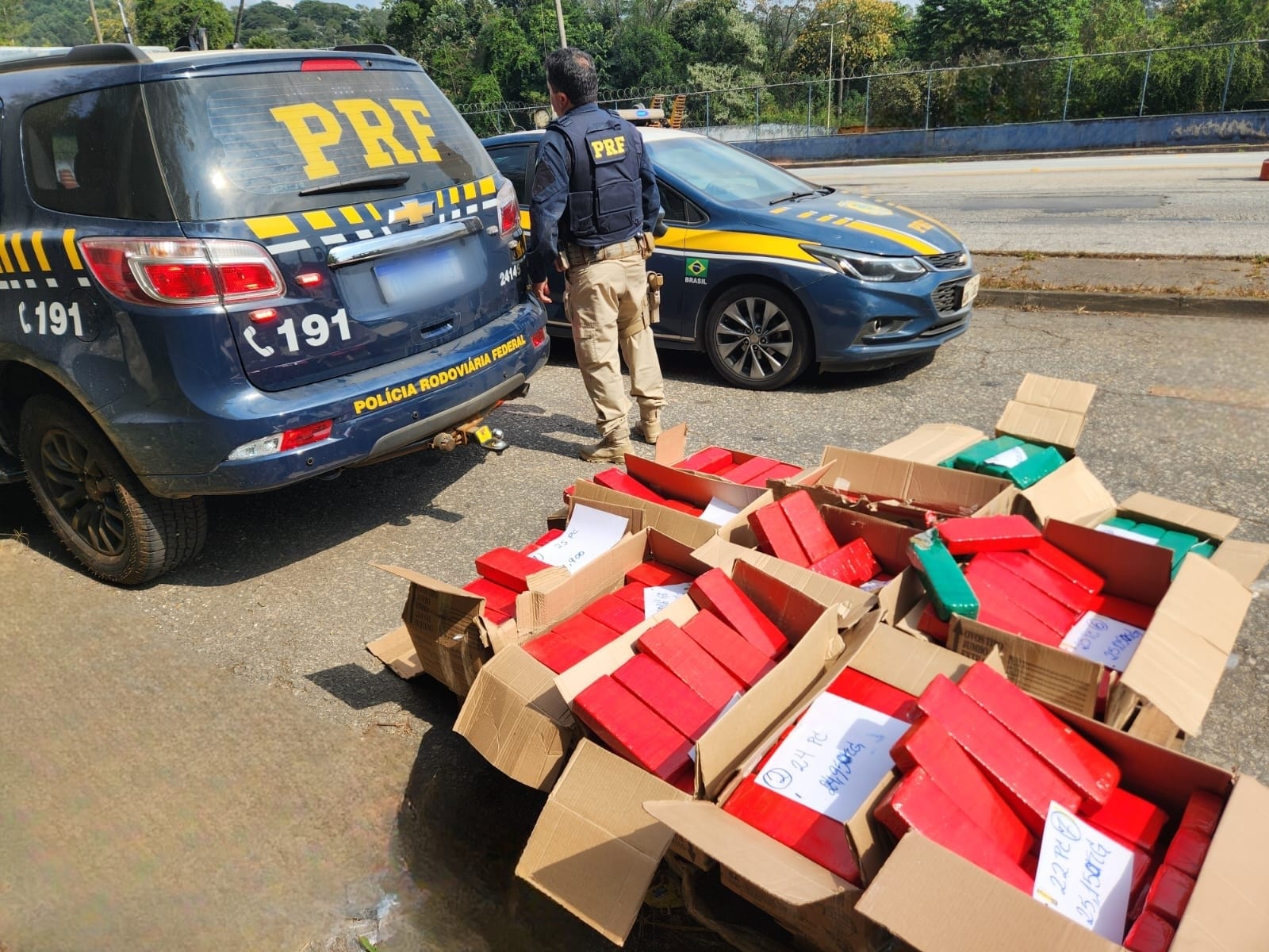 Caminhoneiro é detido com 300 kg de Maconha Escondidos em Caixas de Papelão na BR-267