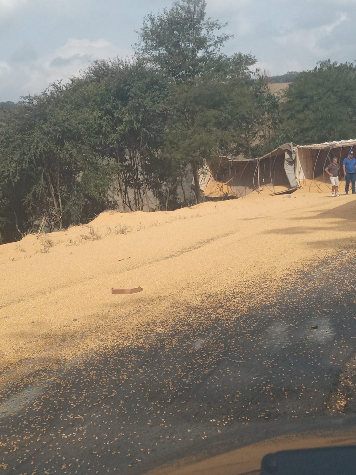 Carreta carregada de milho tomba e trava via em Teixeiras