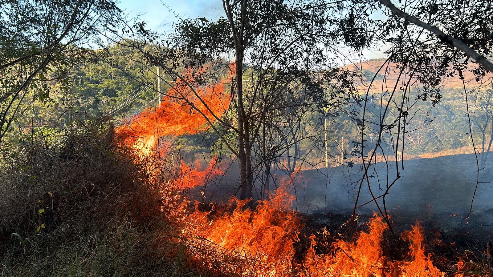 Bombeiros registram incêndios em diversos bairros de Viçosa