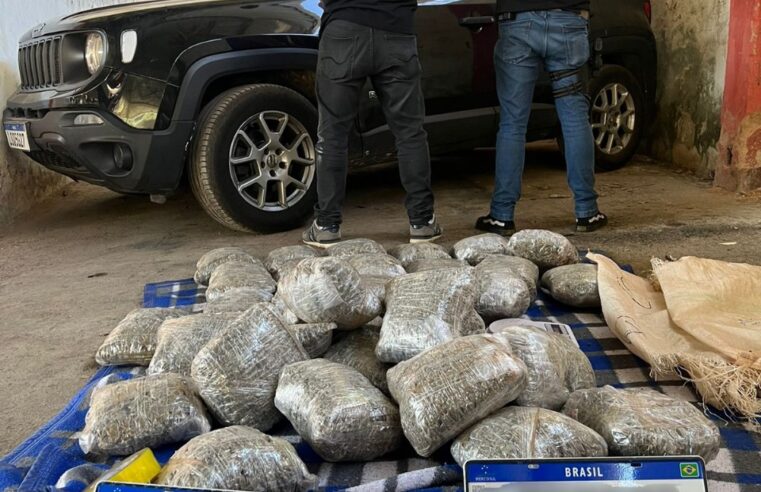 PCMG apreende mais de 40kg de maconha na Zona da Mata