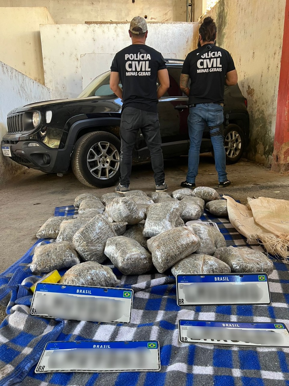 PCMG apreende mais de 40kg de maconha na Zona da Mata