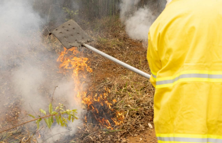 Parque do Cristo promove Campanha de Prevenção a Incêndios Florestais