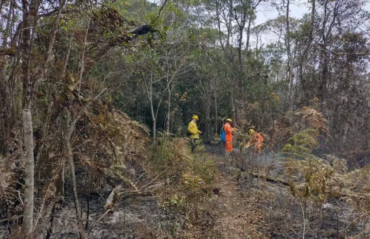 Força-tarefa combate incêndio no Parque Estadual da Serra do Brigadeiro