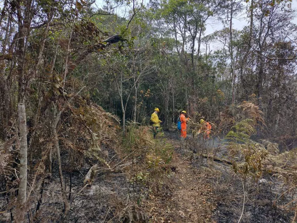 Força-tarefa combate incêndio no Parque Estadual da Serra do Brigadeiro