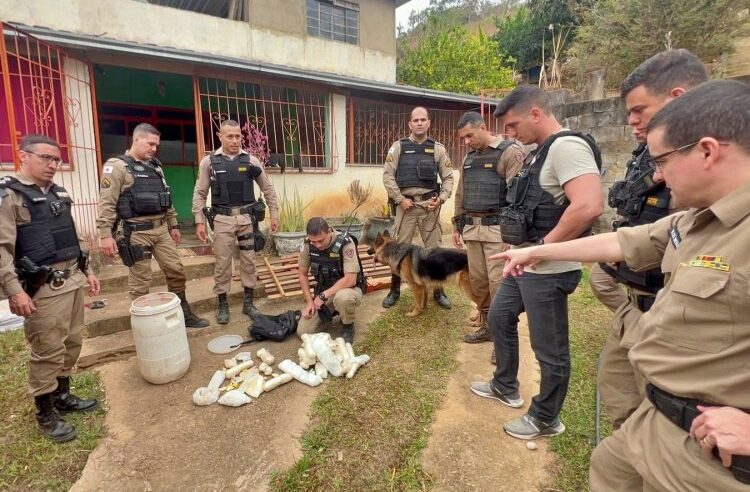 PM apreende mais de 40 mil papelotes de cocaína, em Muriaé