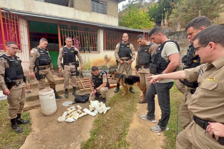 PM apreende mais de 40 mil papelotes de cocaína, em Muriaé