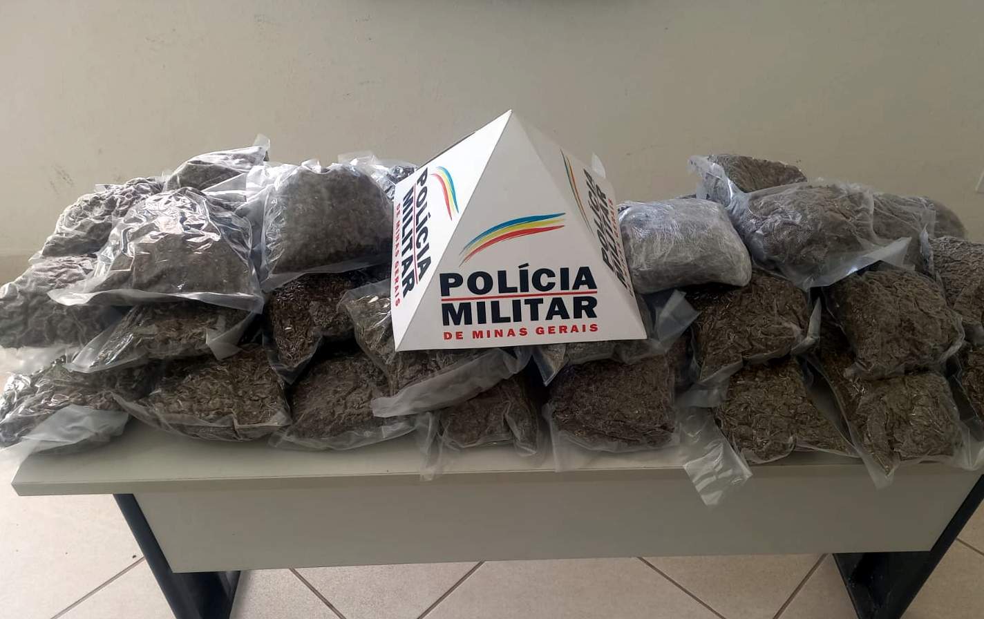 “Supermaconha” avaliada em quase meio milhão de reais é apreendida em Ponte Nova