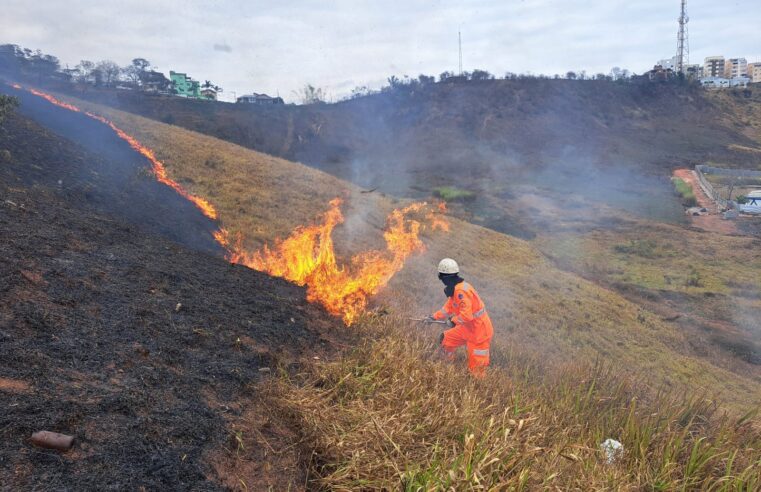 Incêndio em vegetação no bairro Santo Antônio mobiliza bombeiros em Viçosa