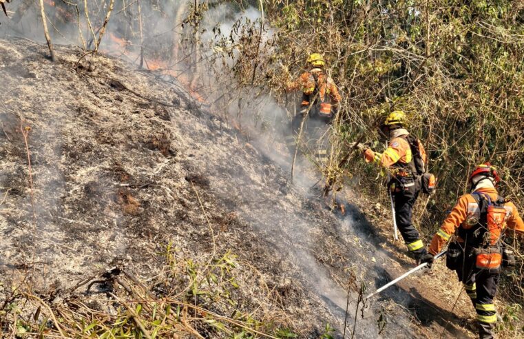 Incêndio no Parque Estadual da Serra do Brigadeiro entra no terceiro dia de combate