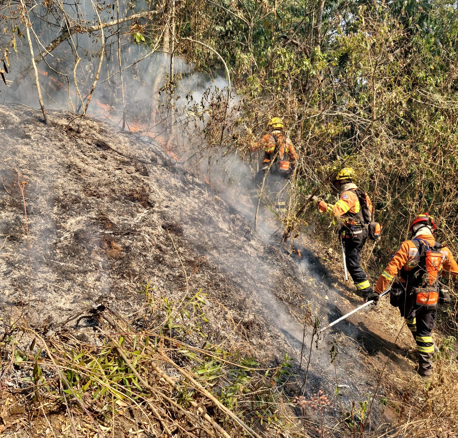 Incêndio no Parque Estadual da Serra do Brigadeiro entra no terceiro dia de combate