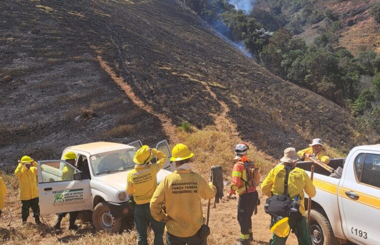 Operação de combate a incêndio no Parque Estadual do Brigadeiro avança com extinção de focos críticos