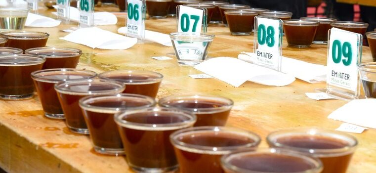 Concurso de Cafés de Qualidade da Região de Viçosa está com inscrições abertas