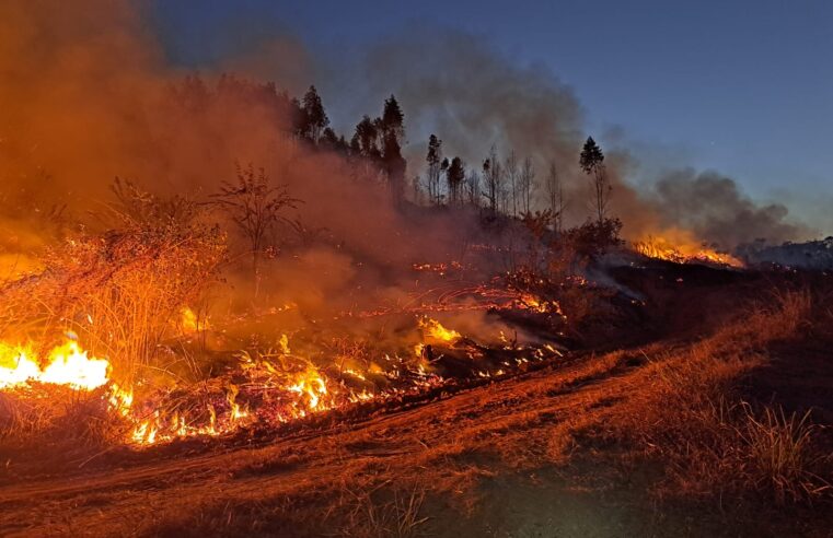 Bombeiros levam 8 horas para combater incêndio em mata da UFV