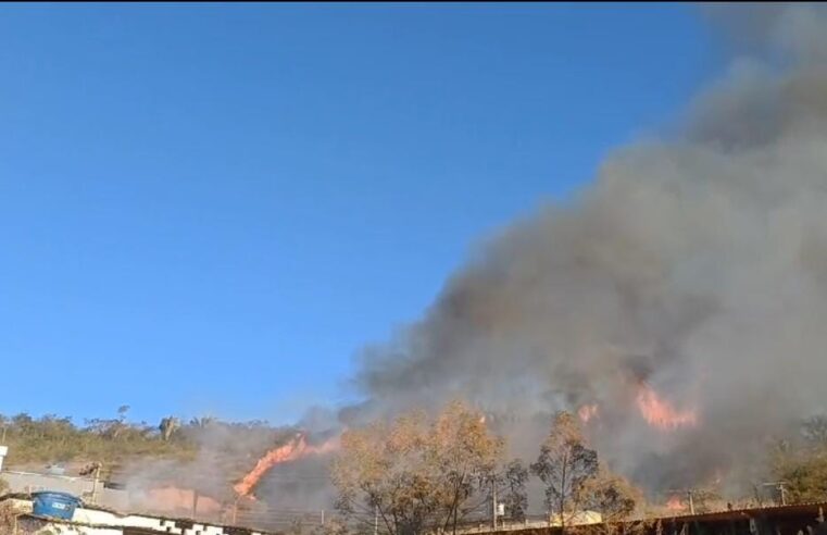 Grave incêndio destrói mata da Barrinha, em Viçosa