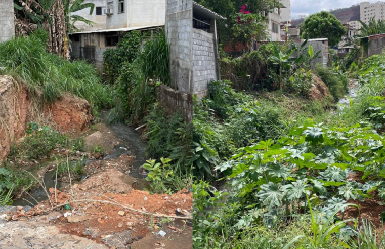 Viçosa: Moradores reivindicam limpeza do ribeirão Santo Antônio